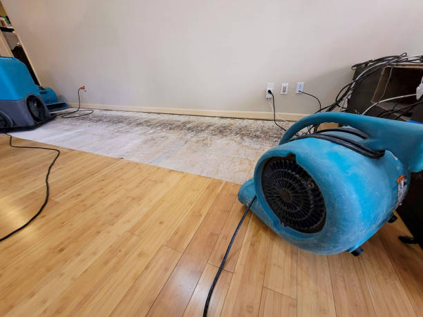 Professional Structural Drying technician working in Cranbury, NJ